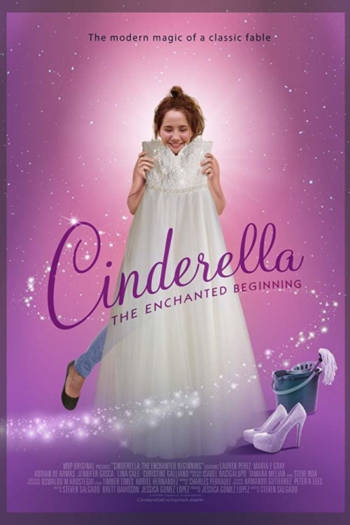 cinderella: the enchanted beginning cover image