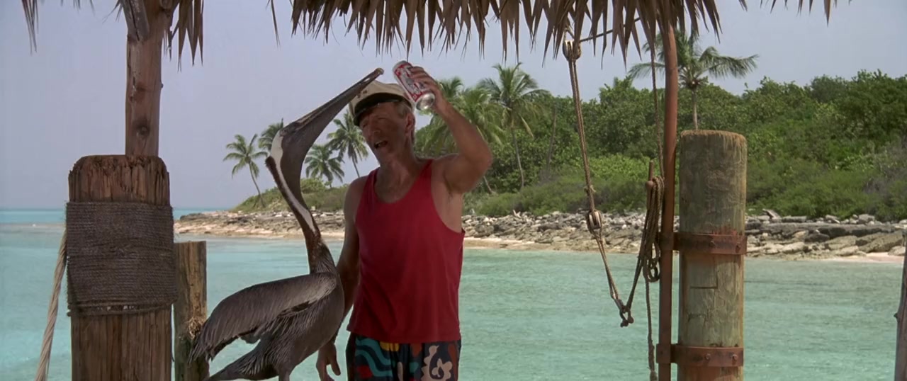 Flipper Film Flipper Film