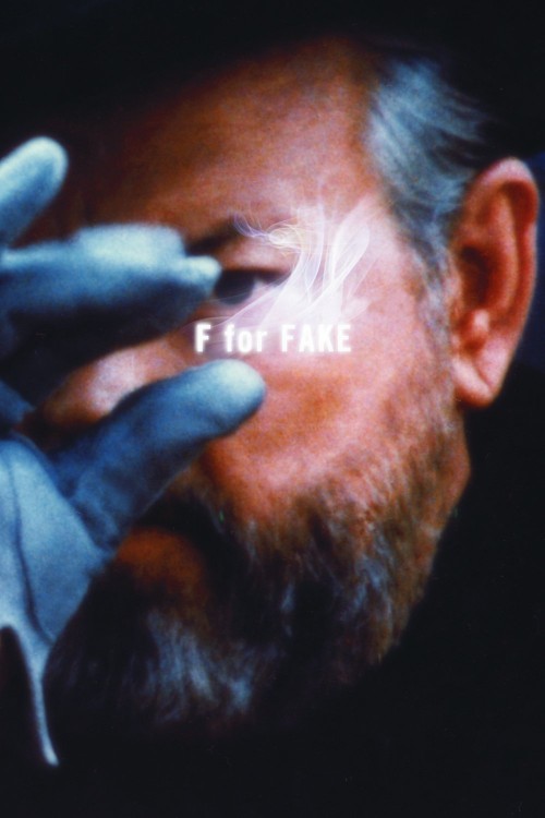 f for fake cover image