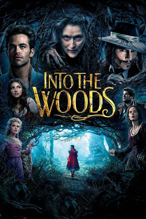 into the woods cover image