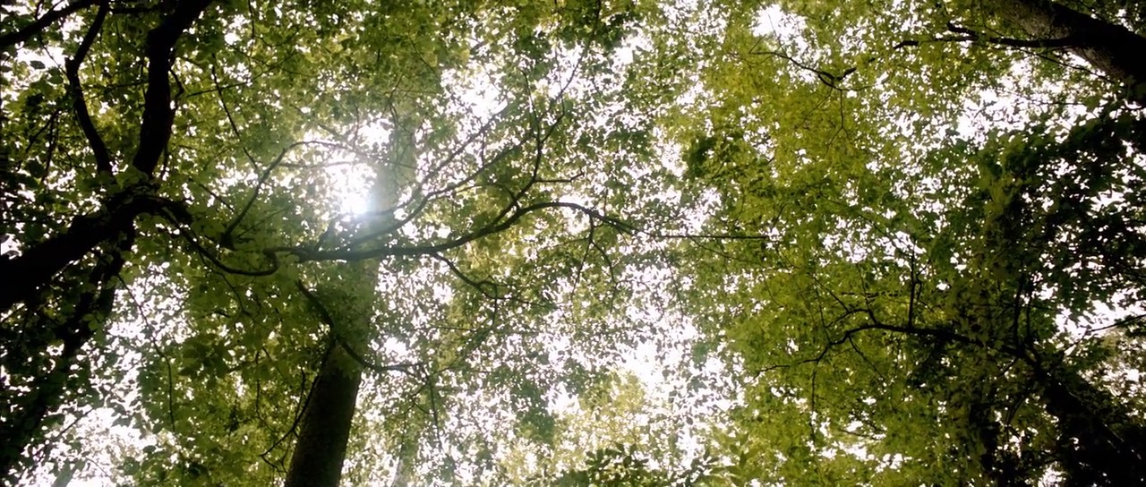 Jug Face Movie Trailer Suggesting Movie