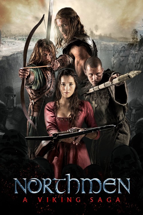 northmen - a viking saga cover image