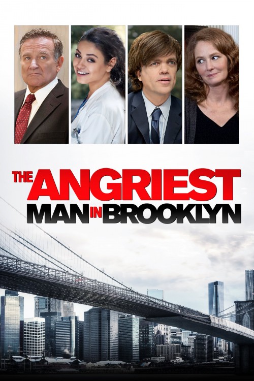 the angriest man in brooklyn cover image