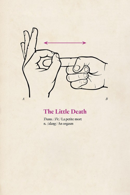 the little death cover image