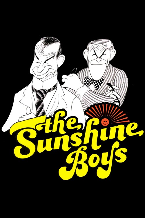 the sunshine boys cover image
