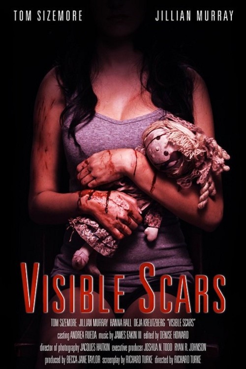 visible scars cover image