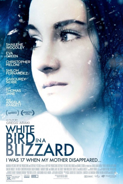 white bird in a blizzard cover image