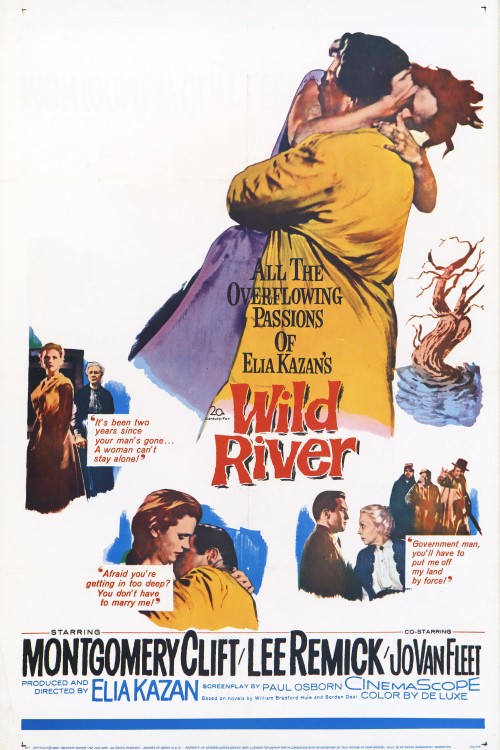 wild river cover image