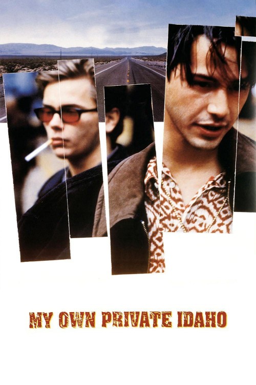 my own private idaho cover image