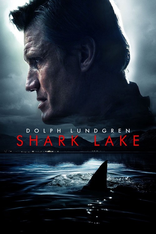 shark lake cover image
