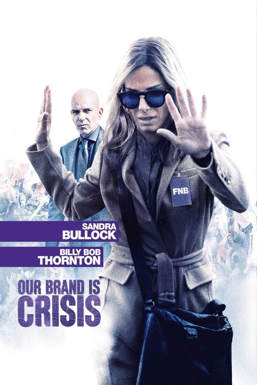 our brand is crisis cover image