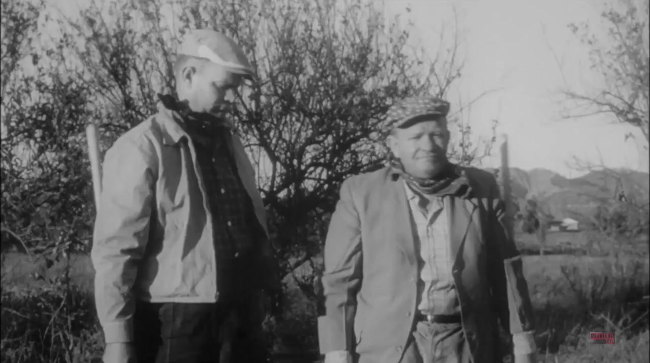 Plan 9 from Outer Space Movie Trailer - Suggesting Movie