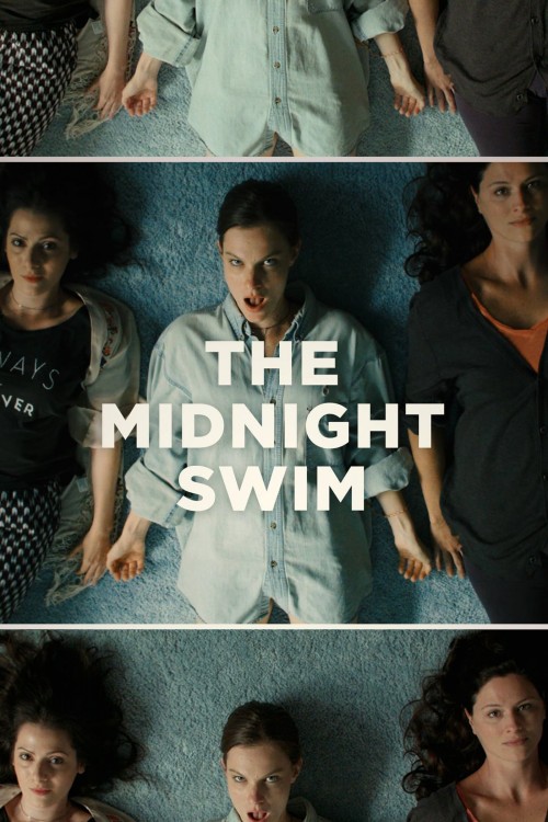 the midnight swim cover image