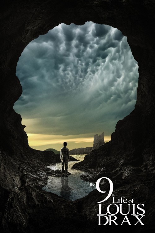 the 9th life of louis drax cover image