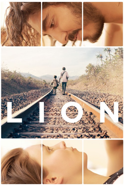 lion cover image