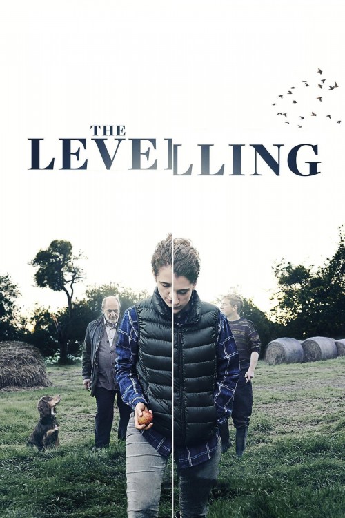 the levelling cover image