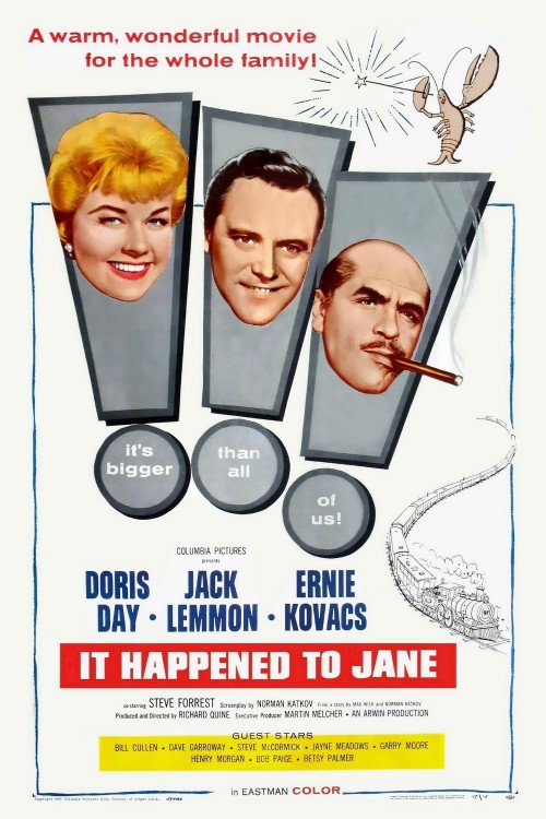 it happened to jane cover image