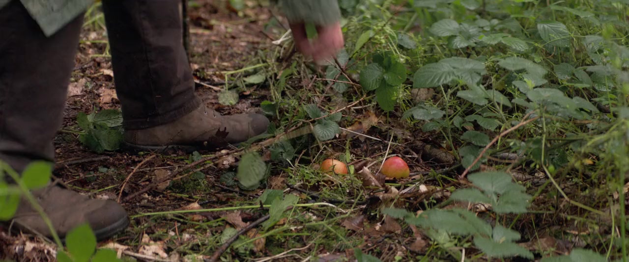 Hampstead Movie Trailer Suggesting Movie