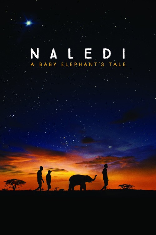 naledi: a baby elephant's tale cover image