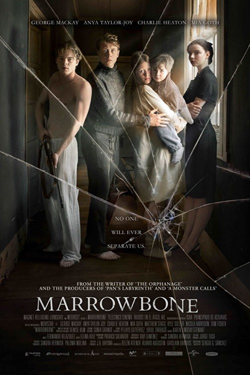 the secret of marrowbone cover image
