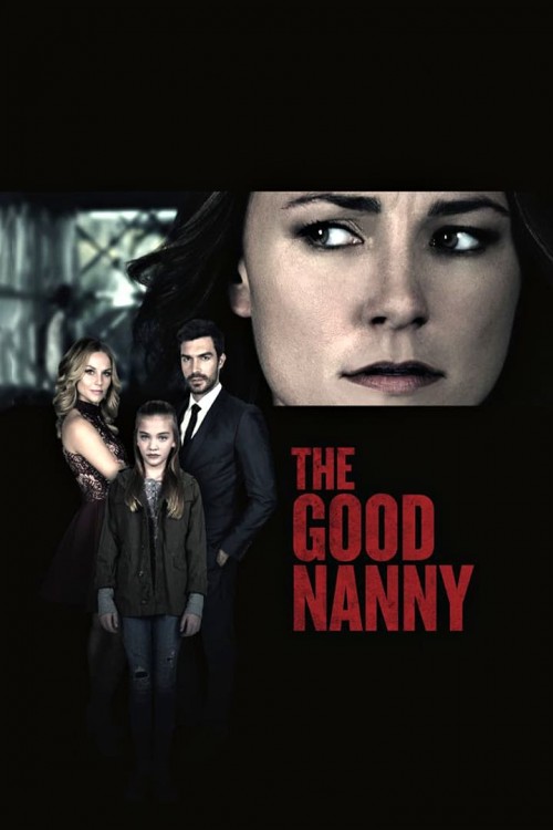 the good nanny cover image