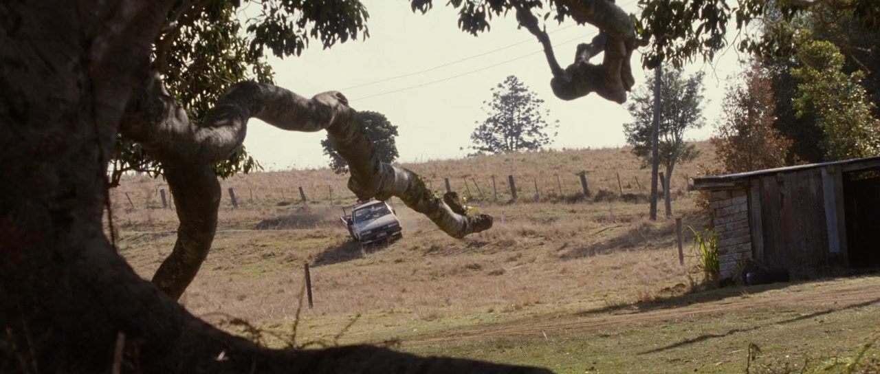 The Tree Movie Trailer Suggesting Movie