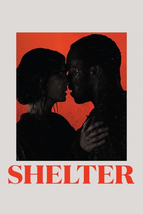 shelter cover image