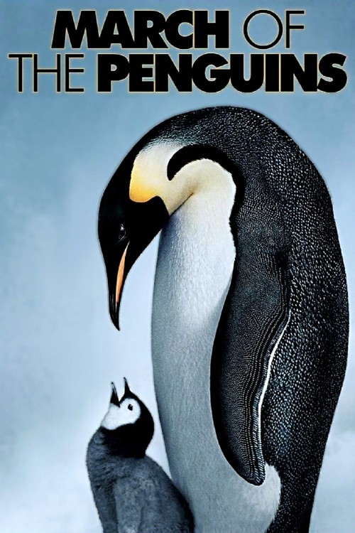 march of the penguins cover image