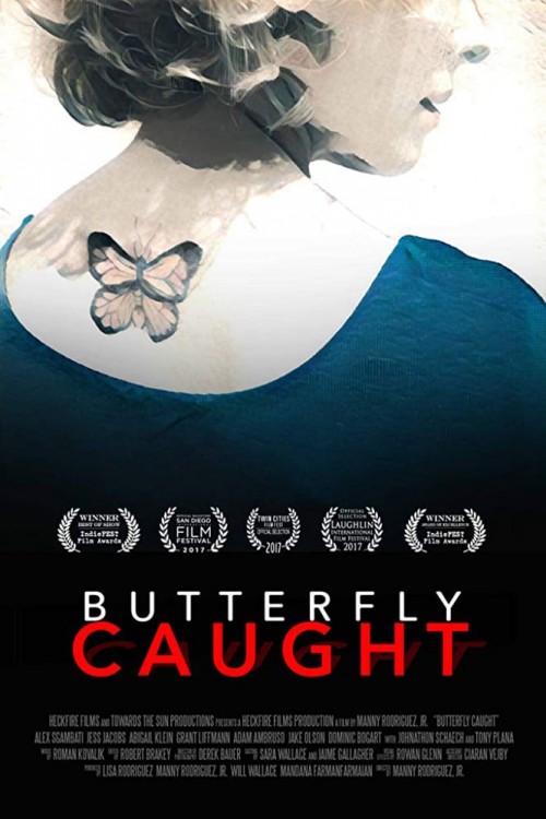 butterfly caught cover image