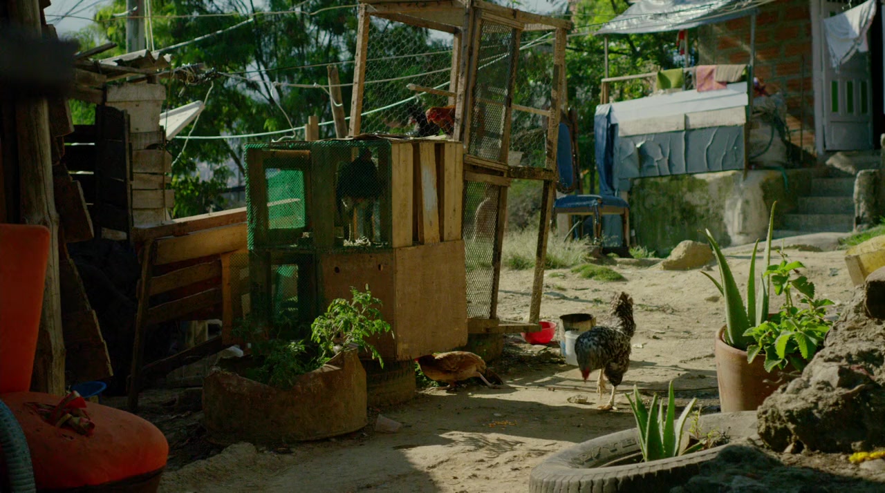 Cocaine Godmother Movie Trailer - Suggesting Movie