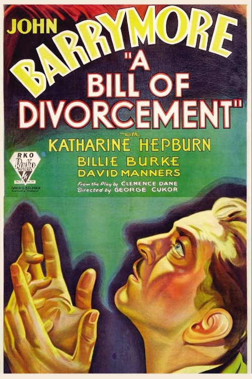 a bill of divorcement cover image