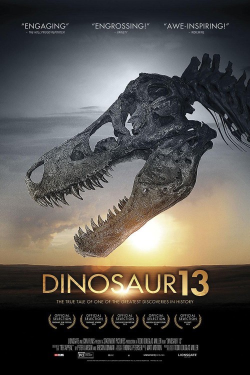 dinosaur 13 cover image