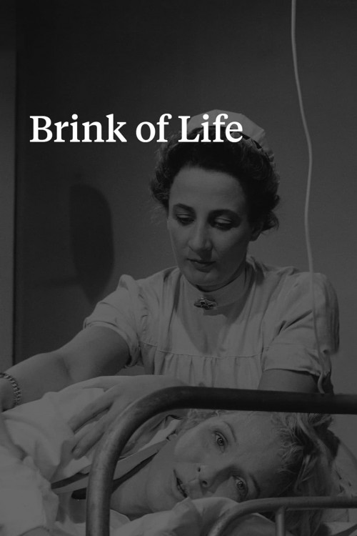 brink of life cover image