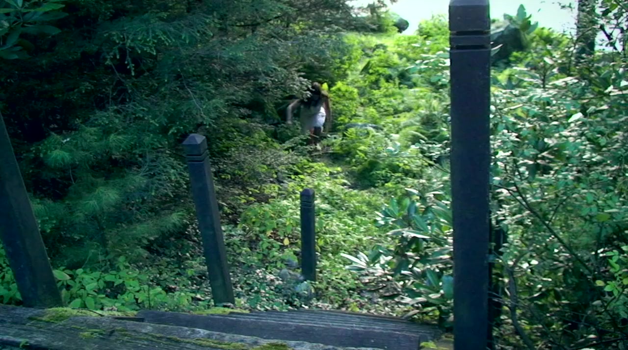 Satanic Meat Cleaver Massacre Movie Trailer Suggesting Movie